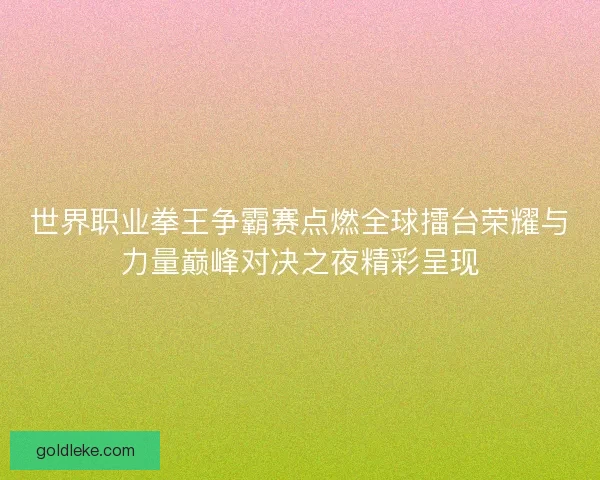 世界职业拳王争霸赛点燃全球擂台荣耀与力量巅峰对决之夜精彩呈现