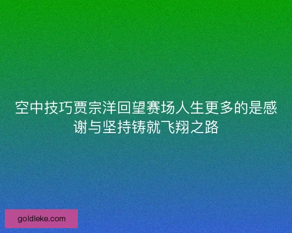 空中技巧贾宗洋回望赛场人生更多的是感谢与坚持铸就飞翔之路 空中技巧贾宗洋回望赛场人生更多的是感谢与坚持铸就飞翔之路