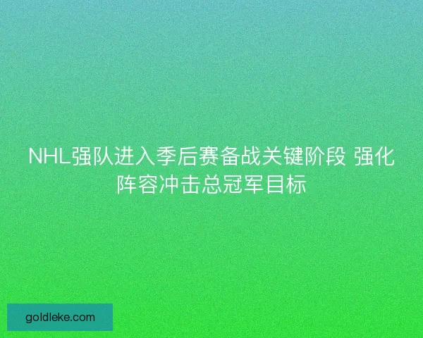 NHL强队进入季后赛备战关键阶段 强化阵容冲击总冠军目标